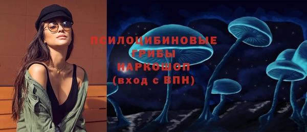 шишки Алексеевка