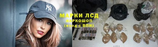 ГАЛЛЮЦИНОГЕННЫЕ ГРИБЫ Алексин