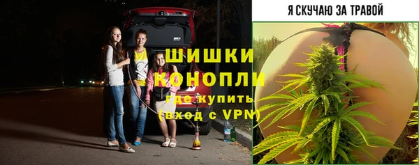 шишки Алексеевка