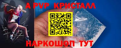 дмт Славгород
