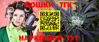 крисы Сланцы
