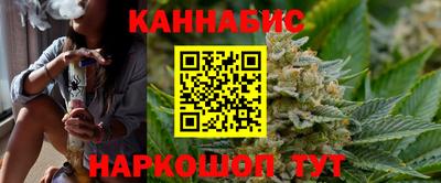дмт Славгород