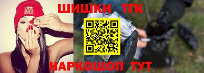 дмт Славгород