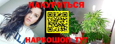 дмт Славгород