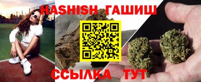 дмт Славгород