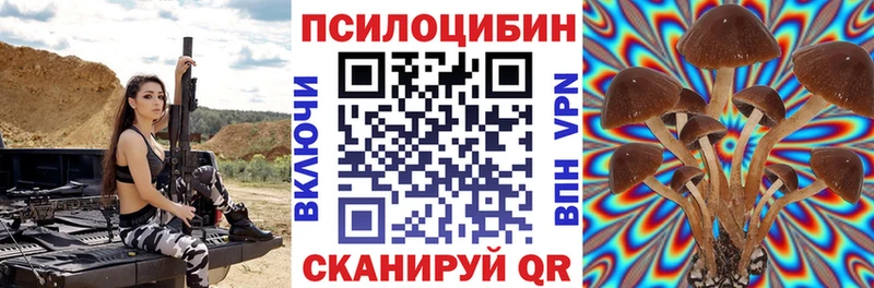 Псилоцибиновые грибы Psilocybe  ОМГ ОМГ ТОР  Петрозаводск 