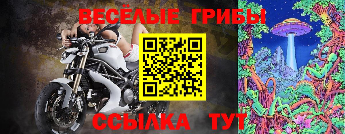 Галлюциногенные грибы Psilocybine cubensis Петрозаводск