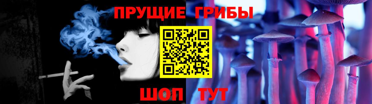 Галлюциногенные грибы GOLDEN TEACHER  Вход с VPN  Петрозаводск 